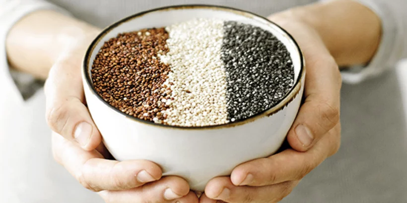 Trzy kolorowe gatunki komosy ryżowej