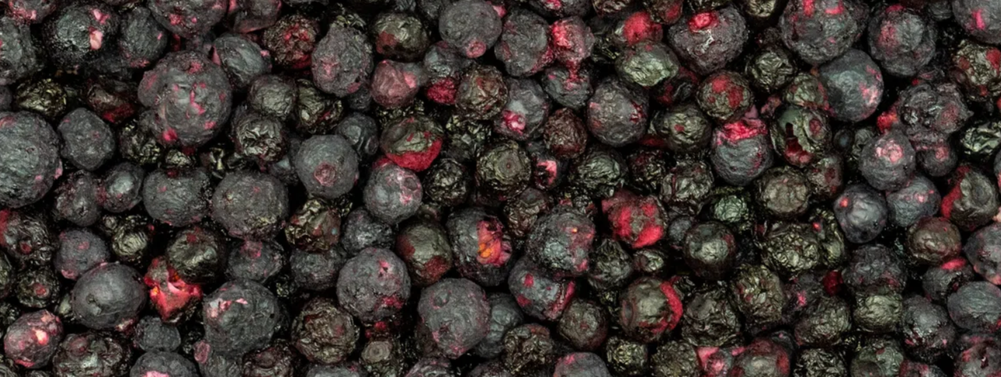 borówki liofilizowane Grizly