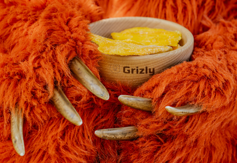 Recepta z nerkowcami