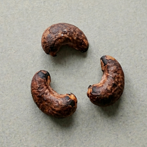 Nerkowce