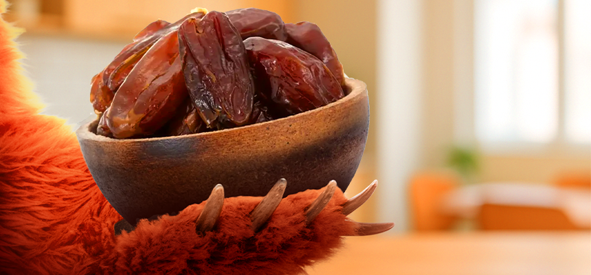 Jak wybrać odpowiednie daktyle? Grizly radzi