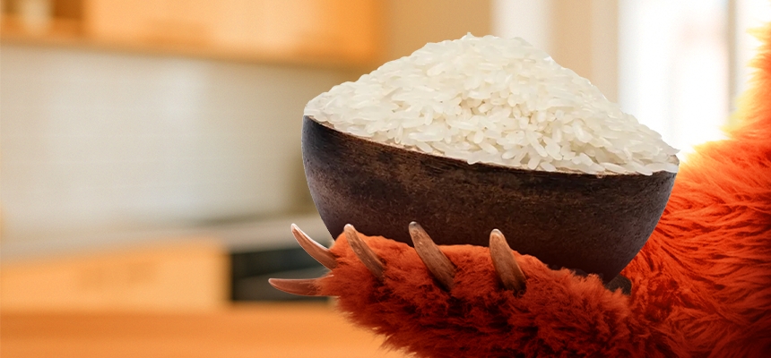 Poradnik zakupowy Grizly: Jak wybrać odpowiedni ryż