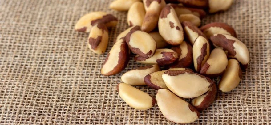 Jak wygląda przedawkowanie orzechami brazylijskimi i jak go uniknąć