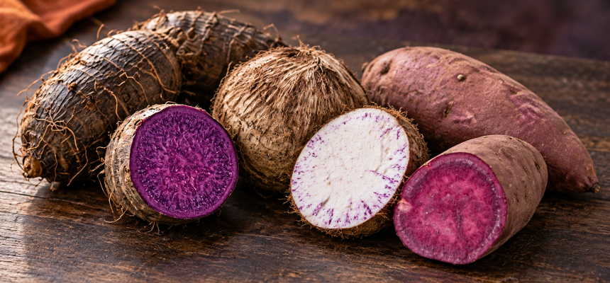 Porównanie ube, taro i fioletowych batatów