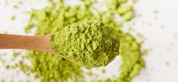 Matcha tea: Siła natury, która utrzyma Cię w gotowości