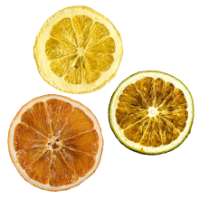 Cytrusy