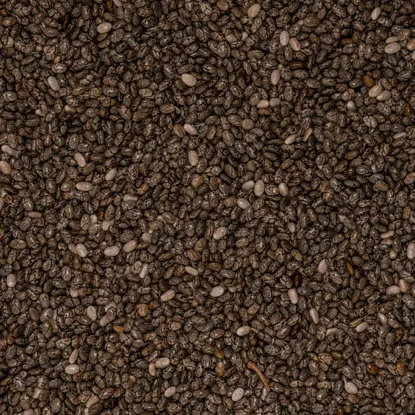 Chia Nasiona Szałwia Hiszpańska