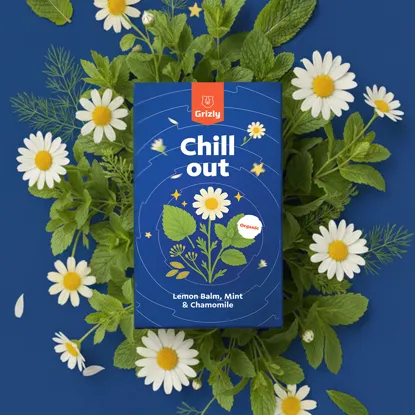 Chill out BIO herbatka ziołowa