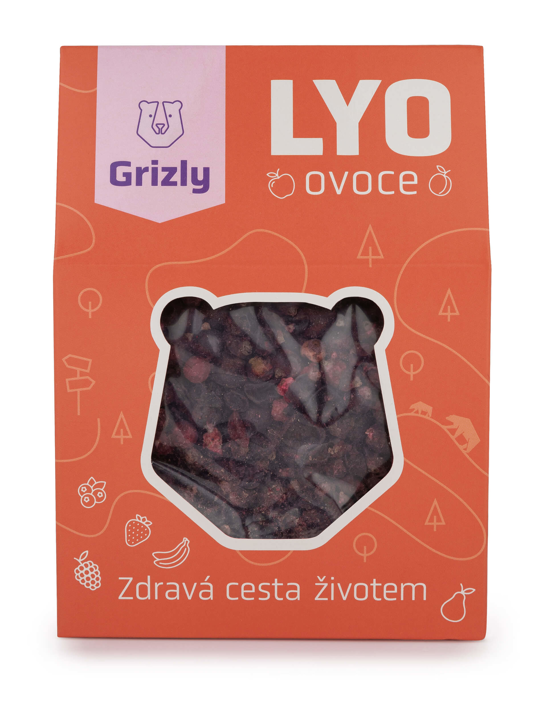 Czarna porzeczka liofilizowana
