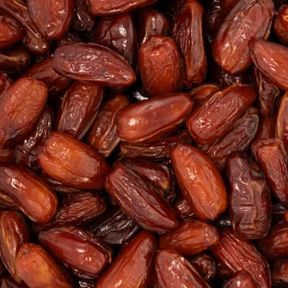 Daktyle suszone exclusive