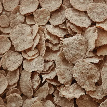 Fit Flakes wzbogacone w witaminy i żelazo