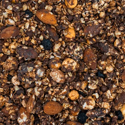 Granola z gorzką czekoladą i borówkami