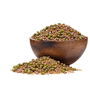 Nasiona do kiełkowania