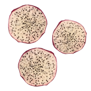 Pitaja - smoczy owoc