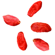 Jagody goji