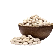 Rośliny strączkowe