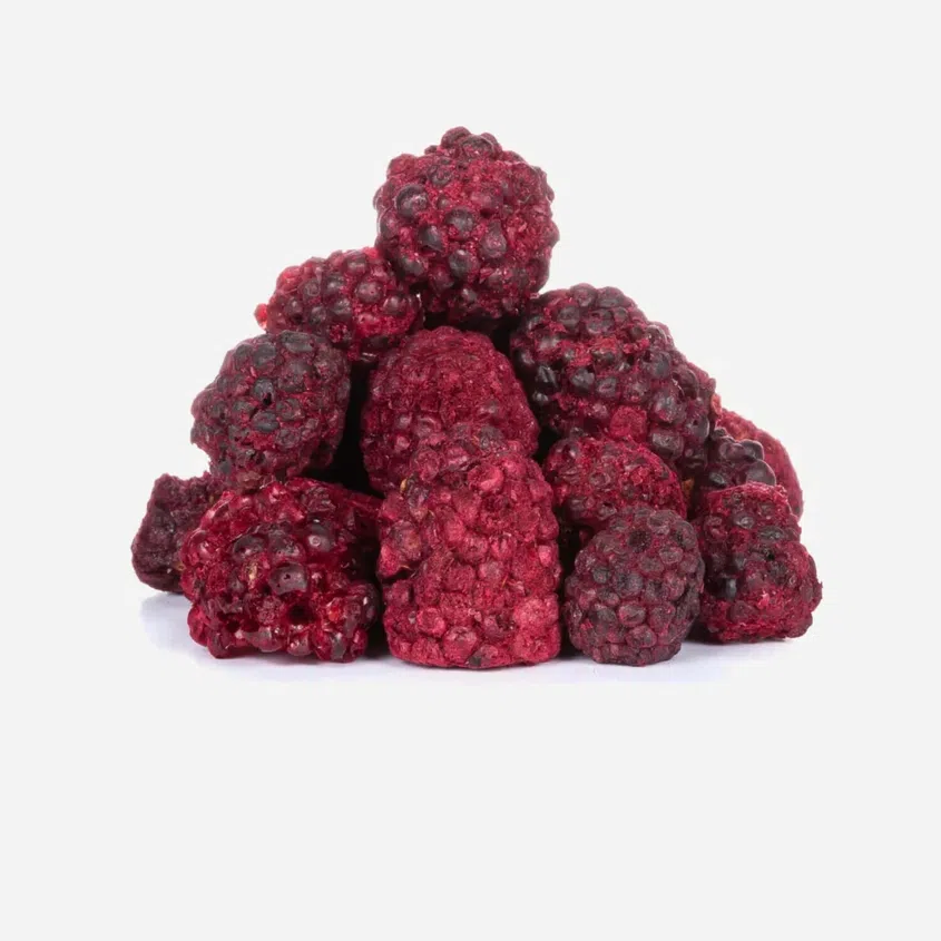 Jeżyny liofilizowane