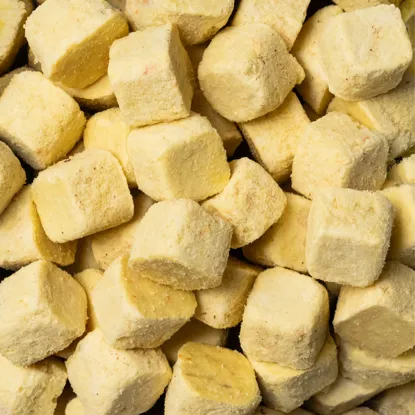 Kostki kokosowe LYO mango z marchewką