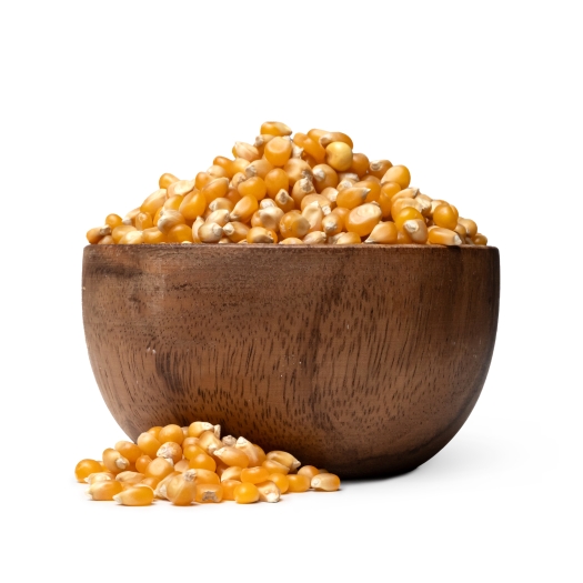 Kukurydza na popcorn