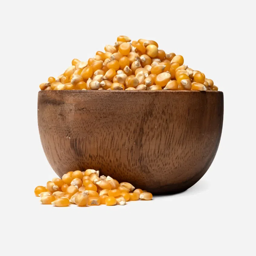 Kukurydza na popcorn