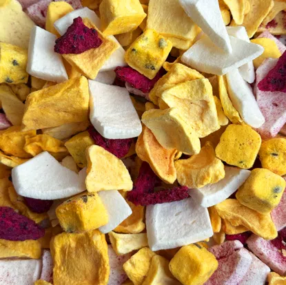 LYO mix Egzotyka