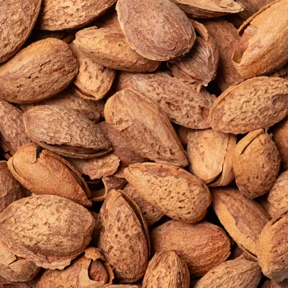 Migdały w skorupkach