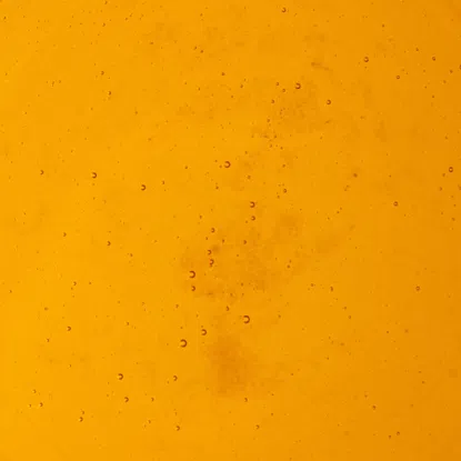 Miód kwiatowy mieszany czeski