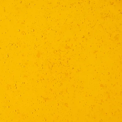 Miód wielokwiatowy czeski