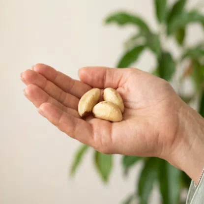 Orzechy brazylijskie całe