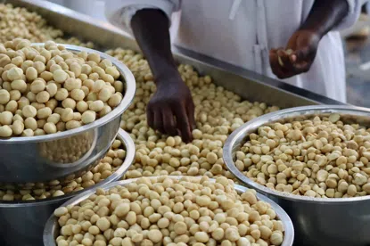 Orzechy makadamia połówki