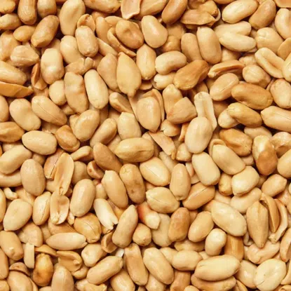 Orzechy ziemne prażone niesolone