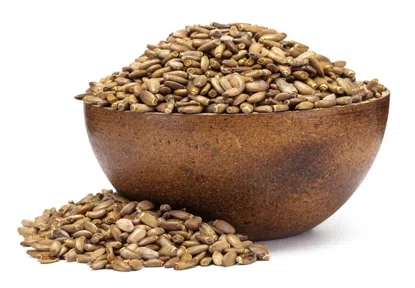 Ostropest plamisty cały