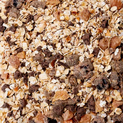 Owsianka gorzka czekolada & orzechy laskowe 6 x 60 g