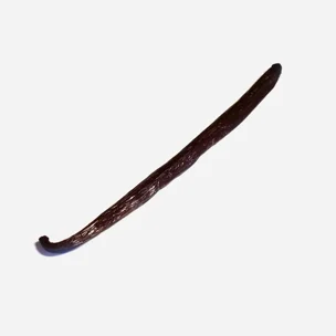 Wanilia laska Bourbon BIO 1 szt