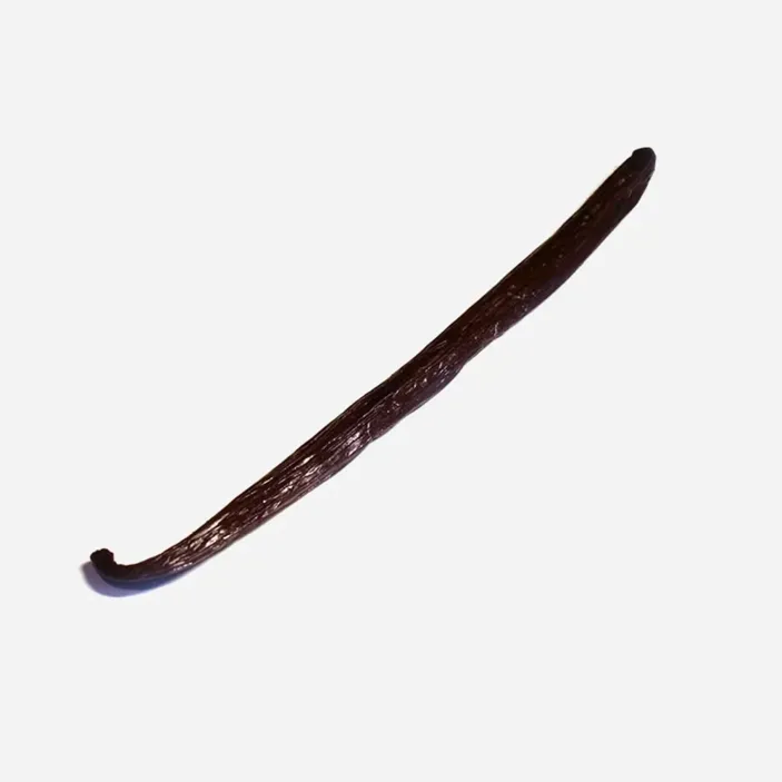 Wanilia laska Bourbon BIO 1 szt